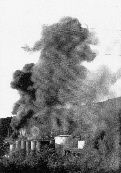 Incendio 1991: La colonna di fumo - 76 Kb